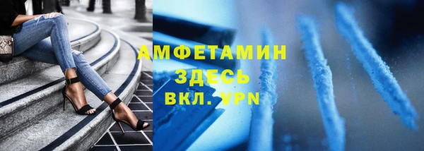 твердый Новозыбков