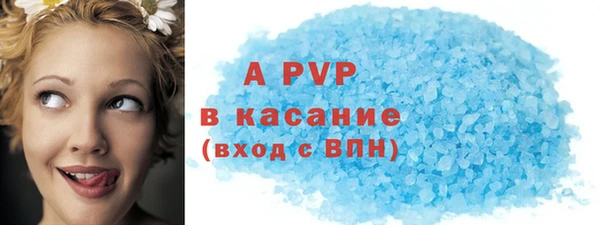 твердый Новозыбков