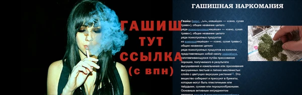 твердый Новозыбков