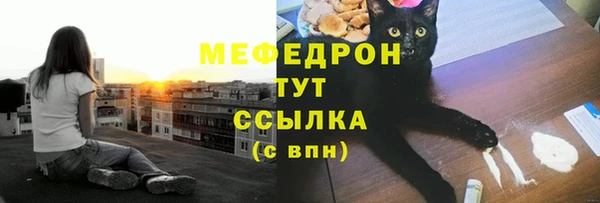 твердый Новозыбков