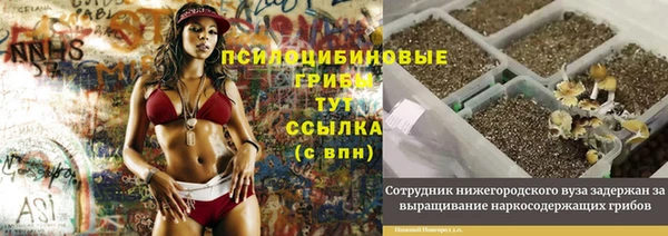 прущие крисы Новокубанск
