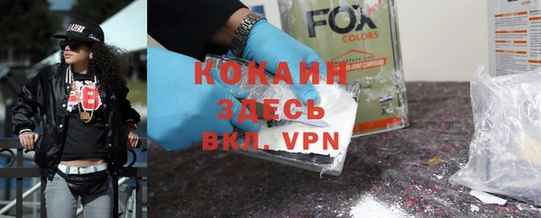 твердый Новозыбков