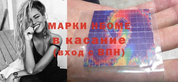 твердый Новозыбков