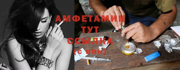твердый Новозыбков