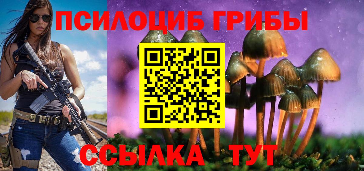 Галлюциногенные грибы MAGIC MUSHROOMS  Псилоцибиновые грибы мицелий  магазин    Вход с VPN  Тутаев 